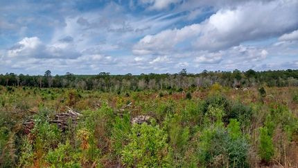 Property for sale in Tyler County, Texas