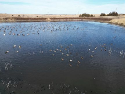 Farm Property for sale in Barton County, Kansas