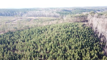 Undeveloped Land for sale in Tuscaloosa County, Alabama