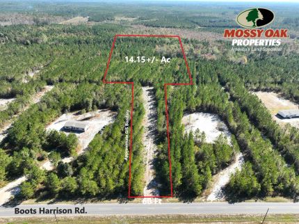 Property for sale in Brantley County, Georgia