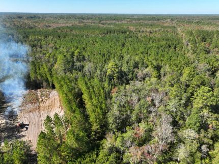 Timberland Property for sale in Brantley County, Georgia