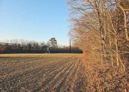 Property for sale in Dorchester County, Maryland