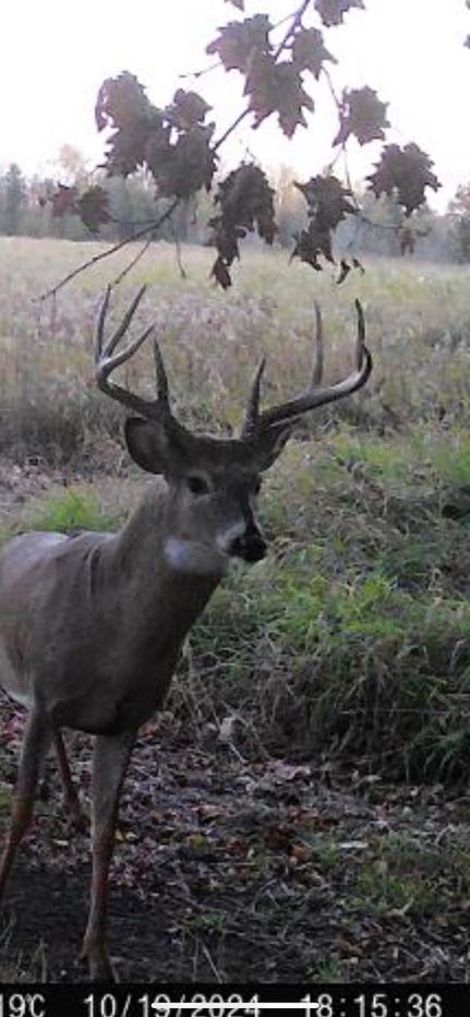 Ranch Property in Waupaca County, Wisconsin