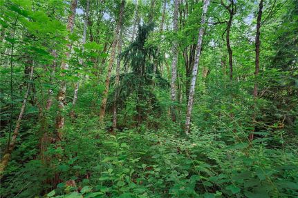 Property for sale in Thurston County, Washington