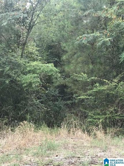 Property for sale in Talladega County, Alabama