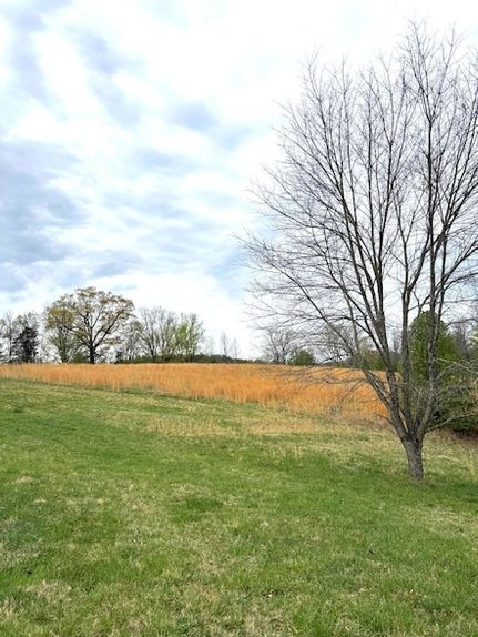 Property for sale in Franklin County, Virginia