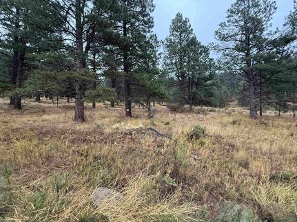 Property for sale in Colfax County, New Mexico