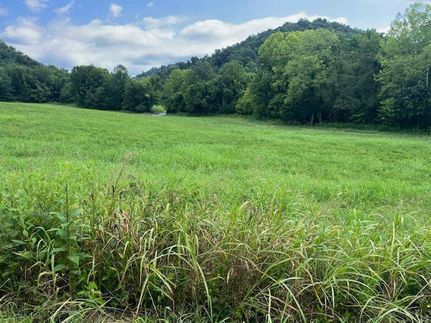 Property for sale in Cumberland County, Kentucky