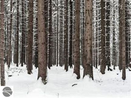 Ranch Property for sale in Grand Traverse County, Michigan