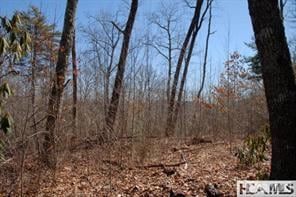 Property for sale in Macon County, North Carolina