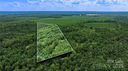 Undeveloped Land for sale in Lancaster County, South Carolina