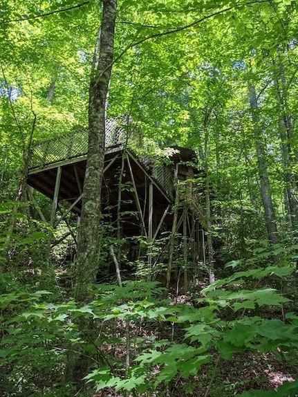 Property for sale in Graham County, North Carolina