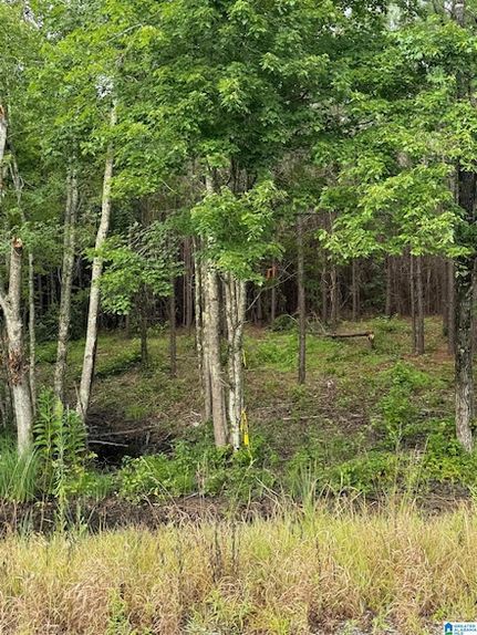 Property for sale in Talladega County, Alabama
