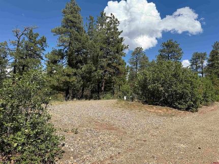 Property for sale in Archuleta County, Colorado