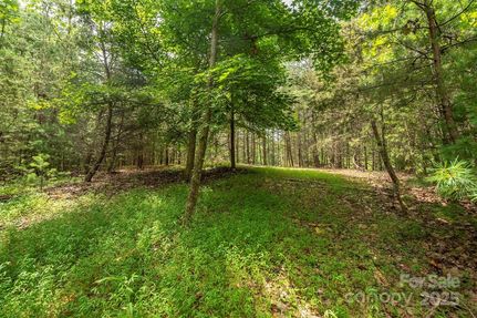 Undeveloped Land for sale in McDowell County, North Carolina