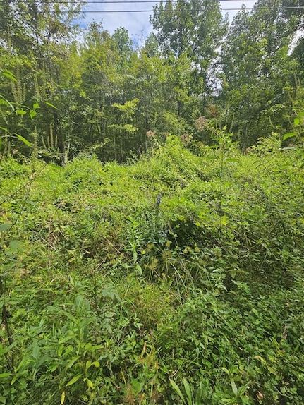 Property for sale in Jackson County, North Carolina