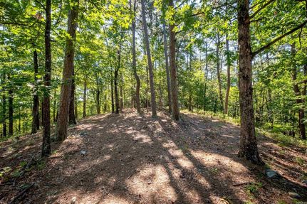 Property for sale in Pulaski County, Arkansas