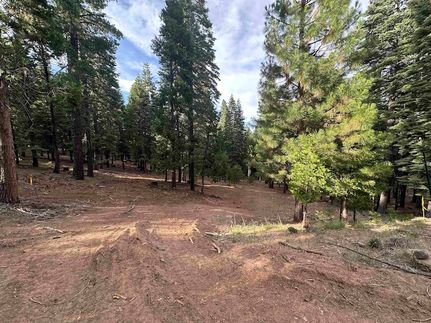 Property for sale in Plumas County, California