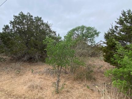 Undeveloped Land for sale in Burnet County, Texas