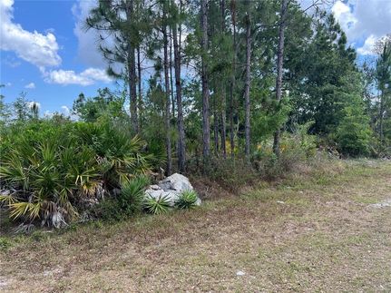 Undeveloped Land for sale in Polk County, Florida