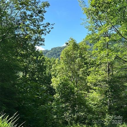 Property for sale in McDowell County, North Carolina