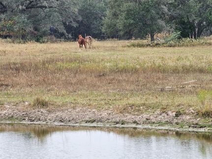 Property for sale in Colorado County, Texas