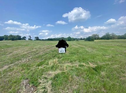 Property for sale in Upshur County, Texas