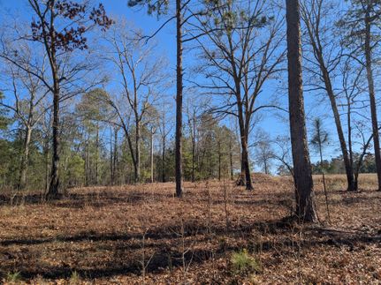 Property for sale in Fairfield County, South Carolina
