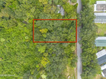 Undeveloped Land for sale in Volusia County, Florida