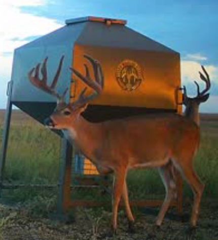 Property for sale in Kiowa County, Kansas