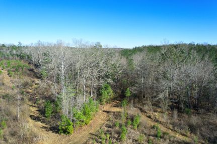 Property for sale in Clarke County, Alabama