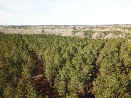 Property for sale in Sabine Parish, Louisiana