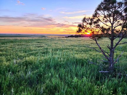 Hunting Land for sale in Washington County, Colorado