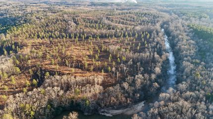 Timberland Property for sale in Cleburne County, Alabama