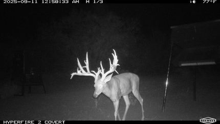 Ranch Property for sale in Zavala County, Texas