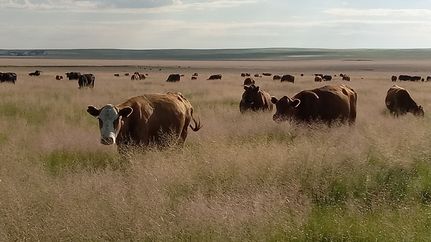 Property for sale in Lincoln County, Colorado