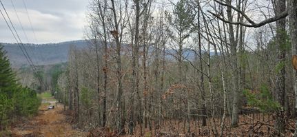 Property for sale in Chattooga County, Georgia