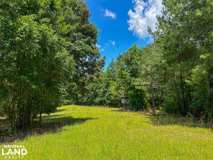 Timberland Property for sale in Perry County, Alabama