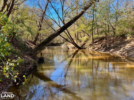 Property for sale in Choctaw County, Alabama