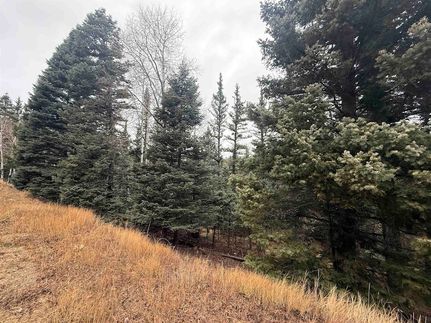 Property for sale in Colfax County, New Mexico