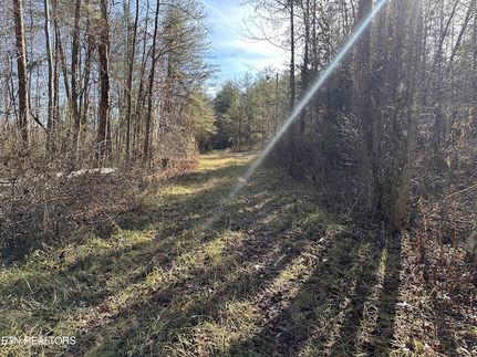 Undeveloped Land for sale in Scott County, Tennessee