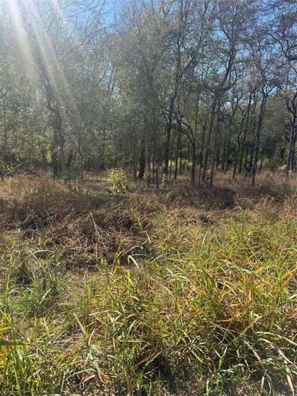 Undeveloped Land for sale in Bastrop County, Texas
