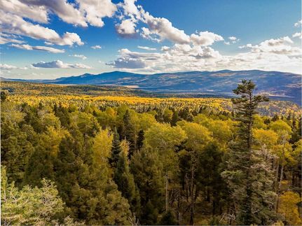 Property for sale in Colfax County, New Mexico