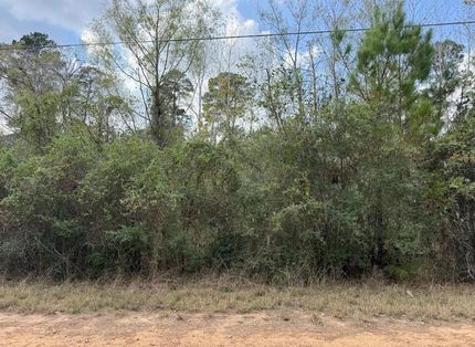 Undeveloped Land for sale in Bastrop County, Texas