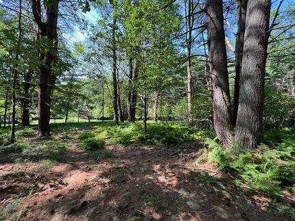 Property for sale in Sullivan County, New York