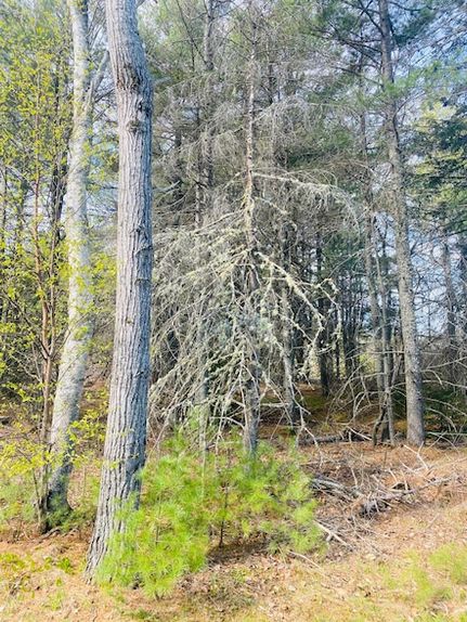 Property for sale in Penobscot County, Maine