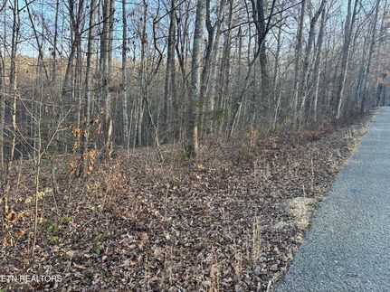 Undeveloped Land for sale in Campbell County, Tennessee