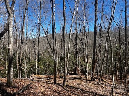 Property for sale in Transylvania County, North Carolina