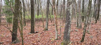 Undeveloped Land for sale in Carbon County, Pennsylvania