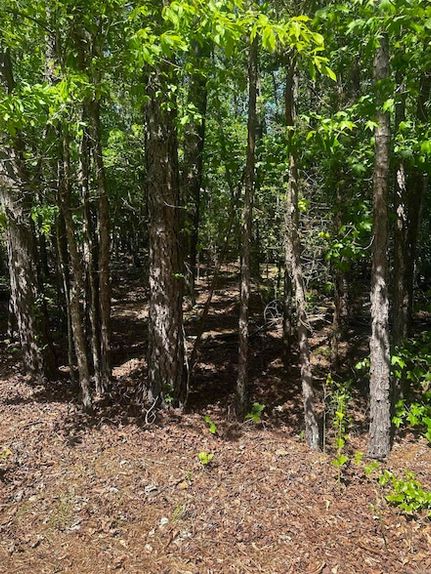 Property for sale in Saline County, Arkansas